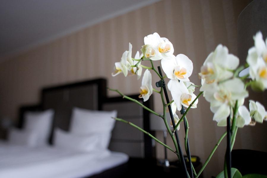 Top Hotel Kraemer โคเบลนซ์ ห้อง รูปภาพ